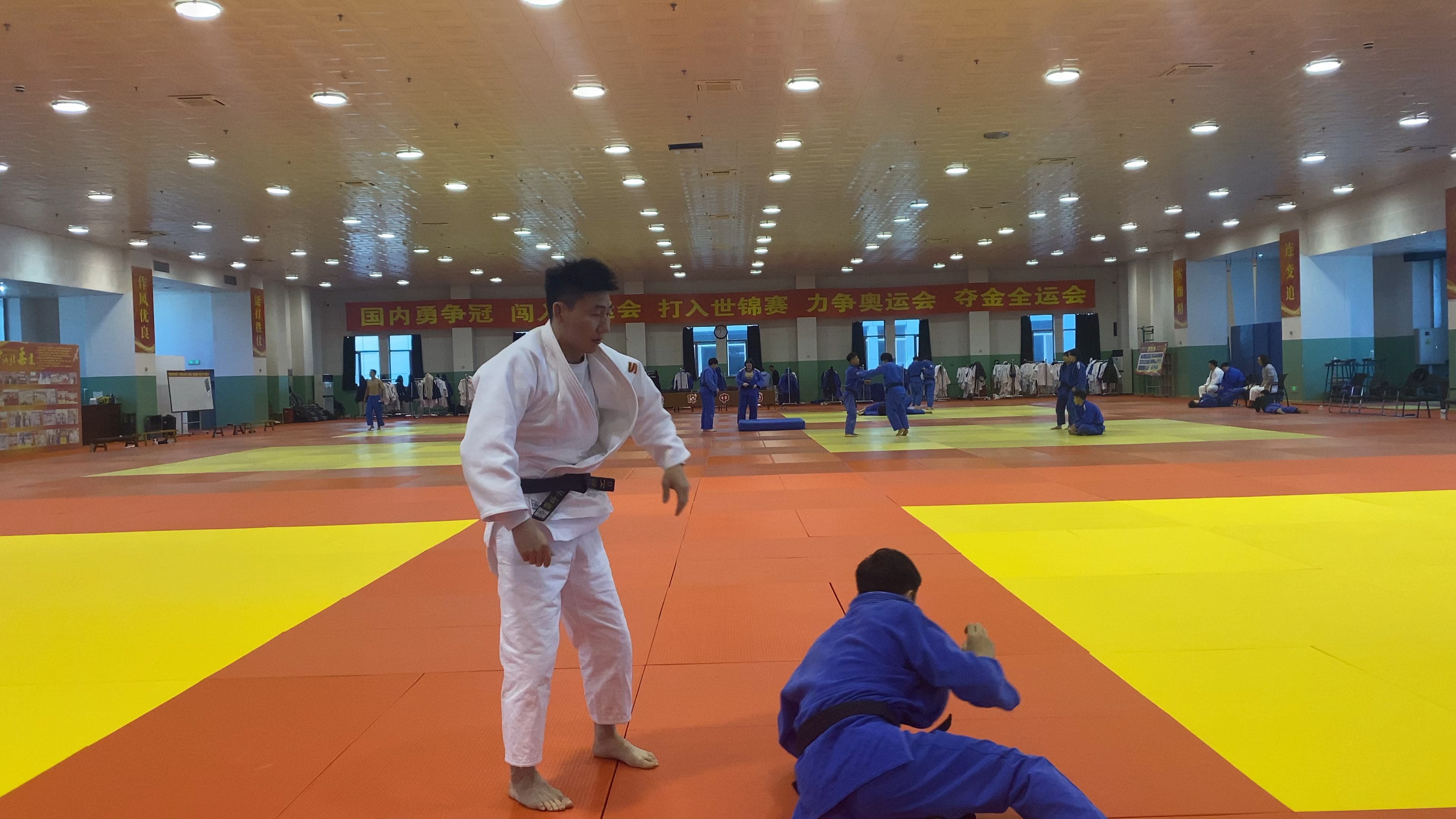 包含柔道项目激战连连，日本选手技压对手称霸的词条